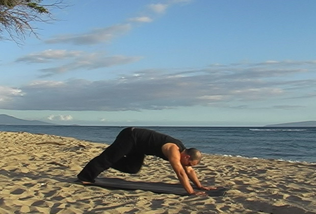 free yoga tutorials