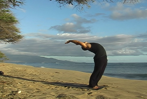 sun salutation learning to flow