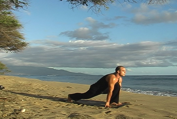learn about vinyasa yoga