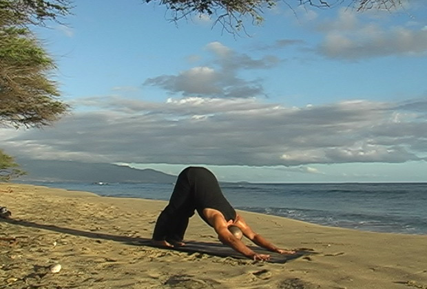 vinyasa yoga flow