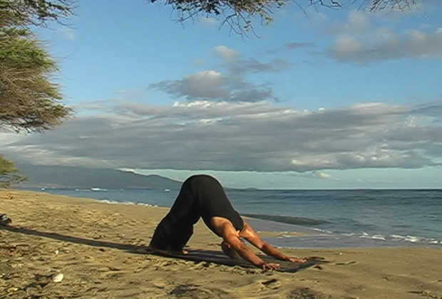 flowing yoga vinyasa