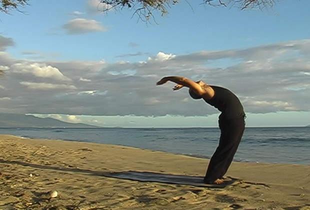 vinyasa flow