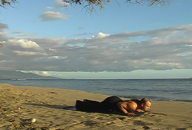 learn about yoga 