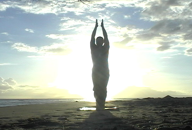 vinyasa flwo
