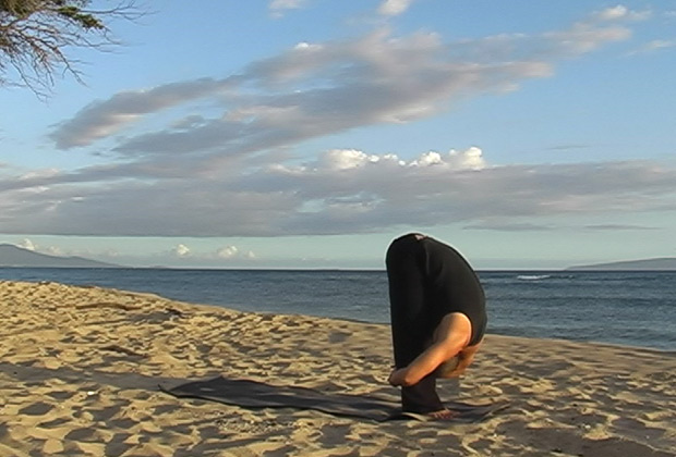 learn yoga basics