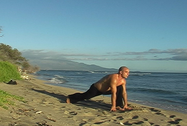 yoga vinyasa flow