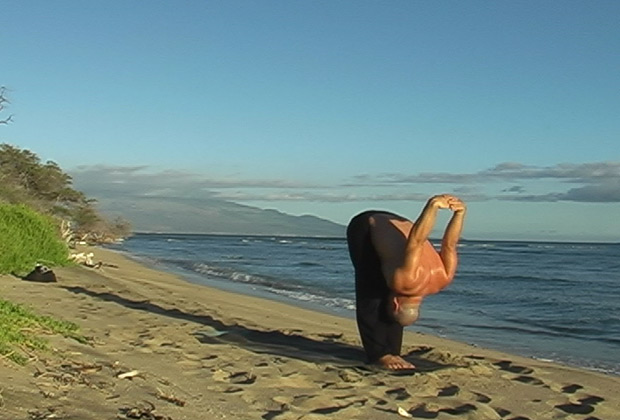 yoga basics