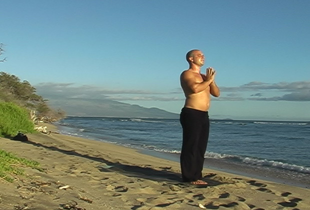 vinyasa yoga flow