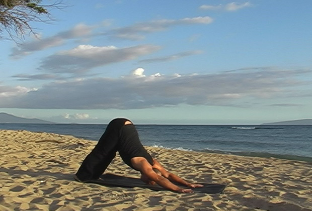pictures of sun worship