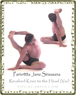 yoga pose