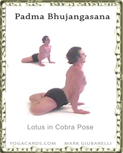 yoga pose