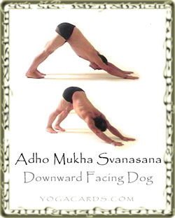 yoga pose