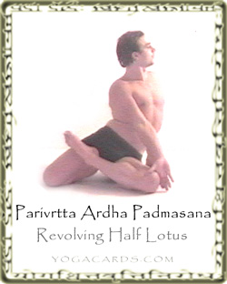 yoga pose