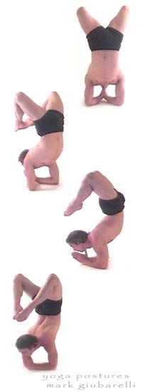 scorpion yoga pose