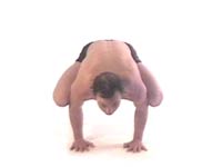 Yoga Posture Janu Sirsasana