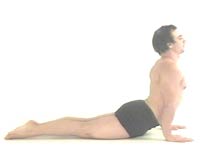 cobra pose Bhujangasana