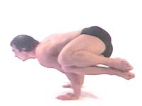 Yoga Posture Janu Sirsasana