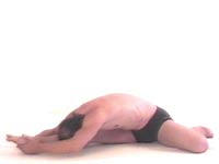 Yoga Posture Janu Sirsasana