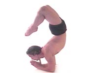 Janu Sirsasana yoga pose