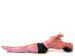 fish pose matsyasana