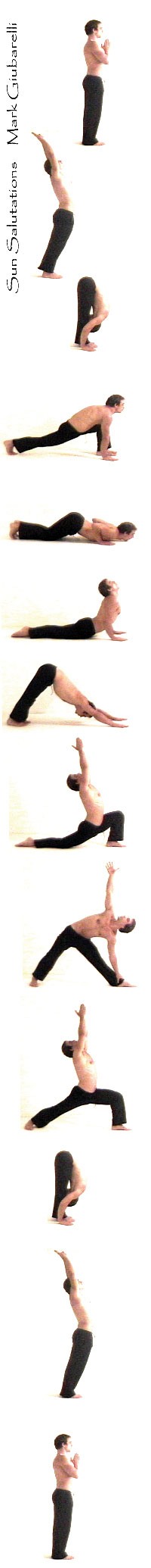 flowing vinyasa yoga