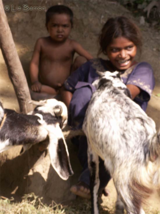 ganga pic