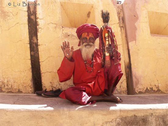 indian sage